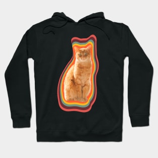 tabby cat painting Hoodie